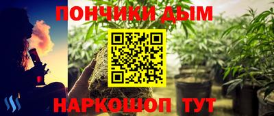 стаф Заводоуковск