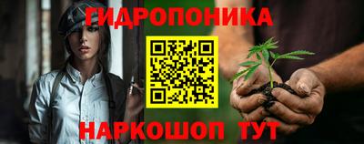 стаф Заводоуковск