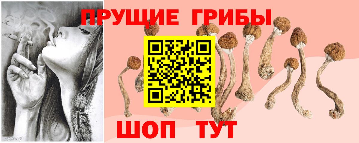 Галлюциногенные грибы прущие грибы Миасс