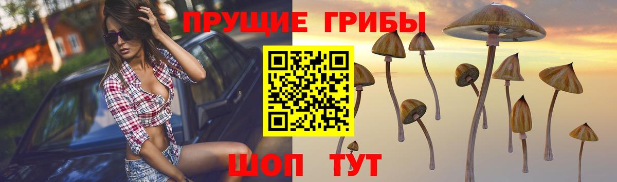 Галлюциногенные грибы мицелий  Галлюциногенные грибы мицелий  Миасс  наркотики  Вход с VPN 